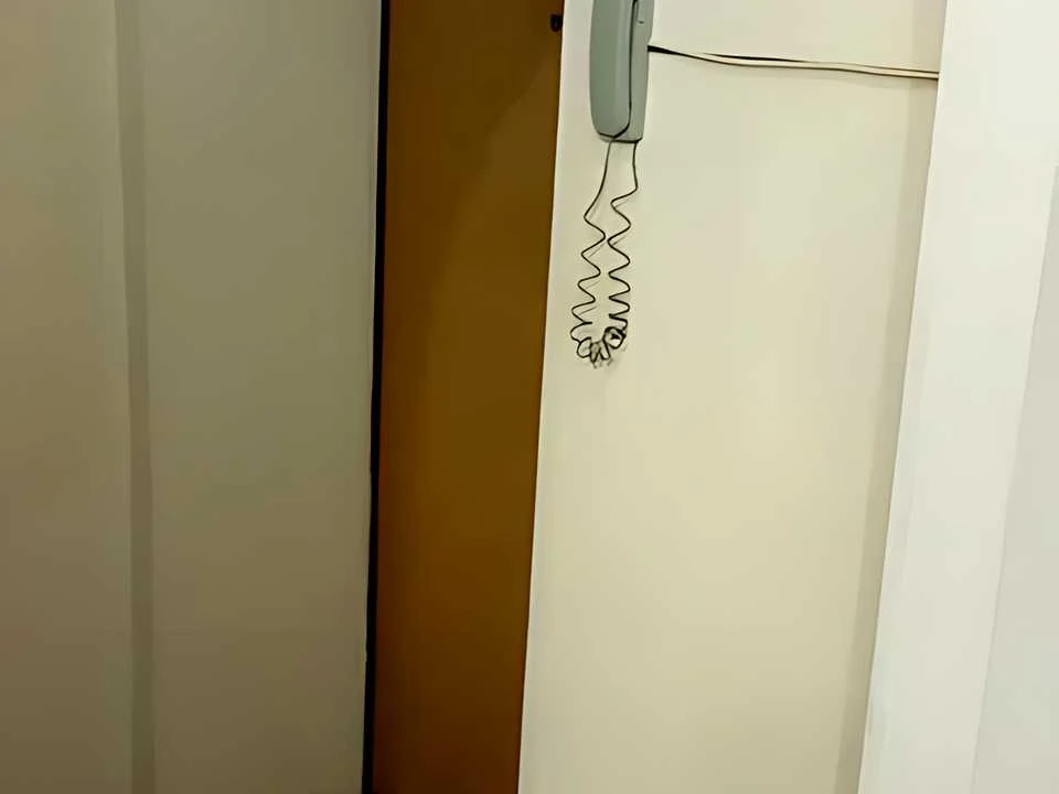 Apartment. Ivan Dzyuba st., Kyiv