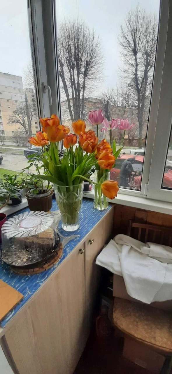 Cozy apartment for sale in the Zagot-Zerno area!