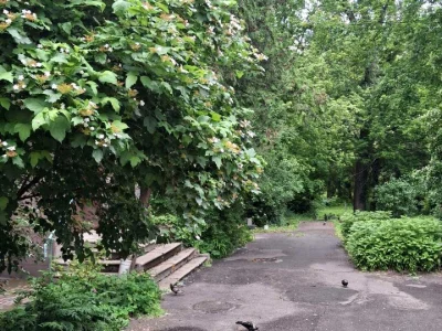 Квартира. Киев, Генерала Генадия Воробьева, ул.
