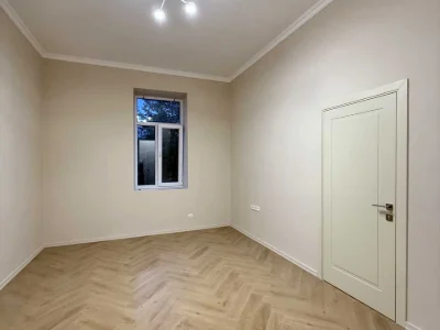 Apartment. Ivan Franko Street, Lviv