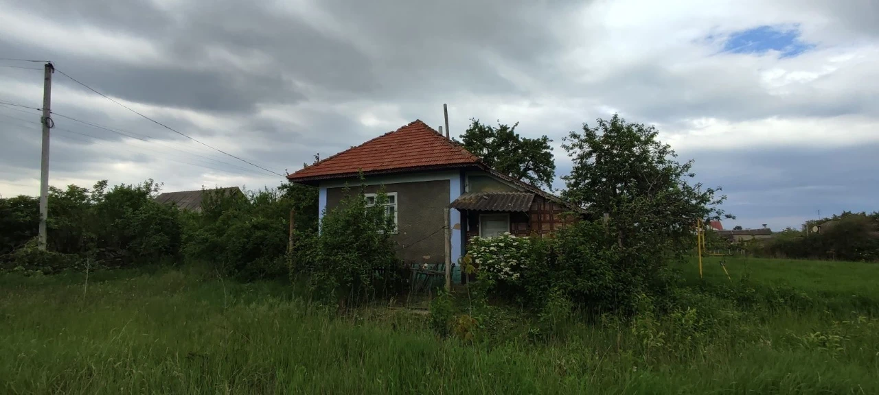 Будинок Мошанець