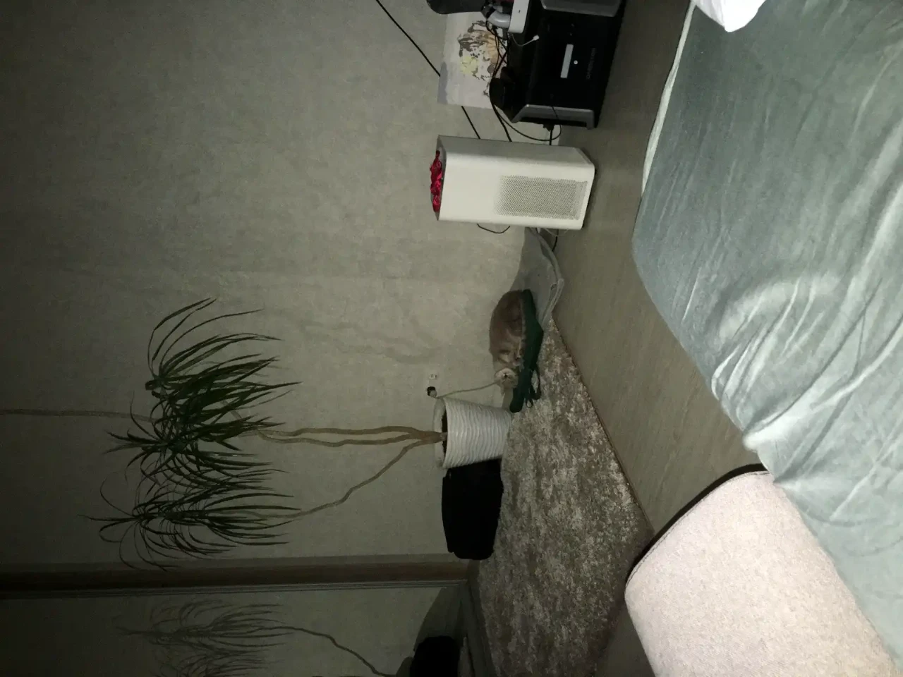 Продаж квартири 2-кімн. 50 м² 2/5 пов.