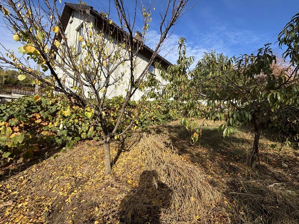 For Sale: House in Uzhhorod, Solovyna Street