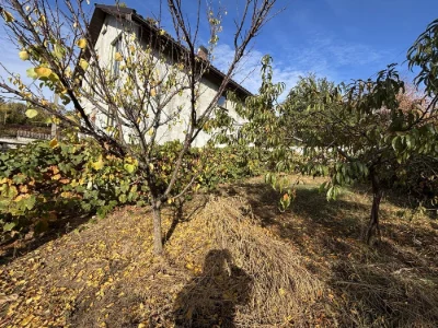 For Sale: House in Uzhhorod, Solovyna Street