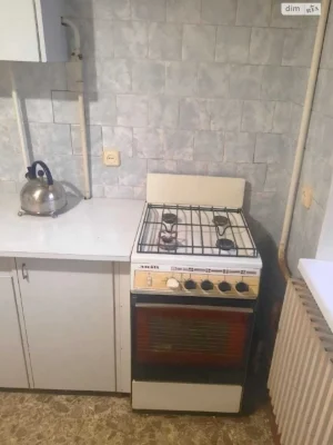 Long-Term Rent Apartment Shevchenkivsky