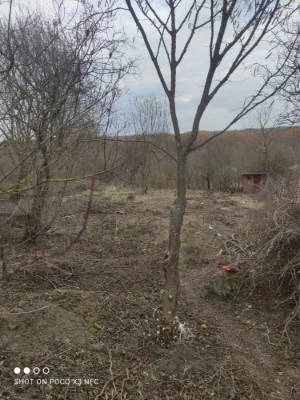 Продається земельна ділянка у Видрові Доли