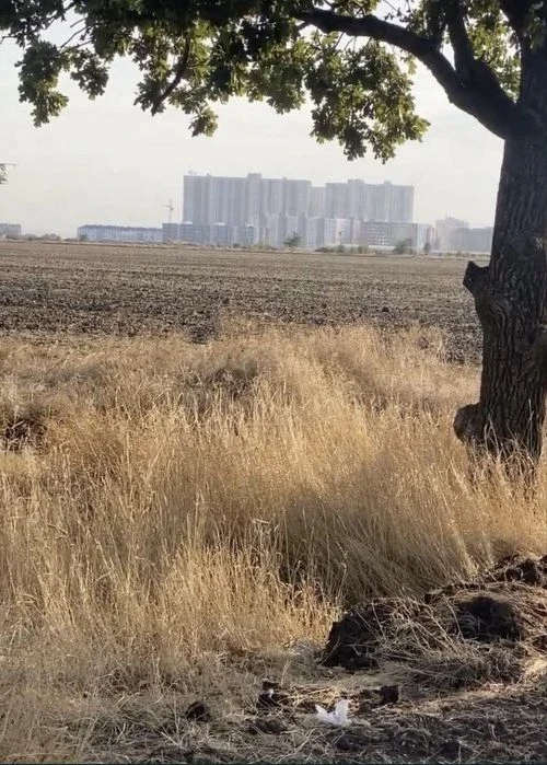 Новая нарезка по рынку Начало, Одесса