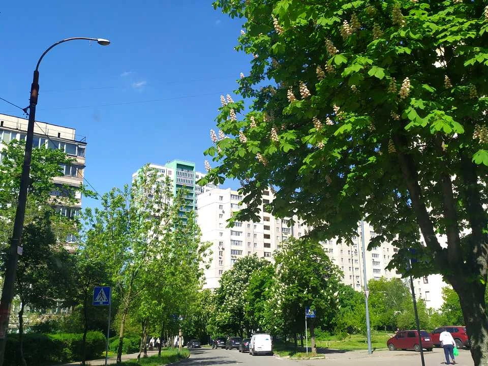Квартира. Київ, Тулузи вул.