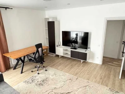 Apartment. Truskavetska Street, Truskavets