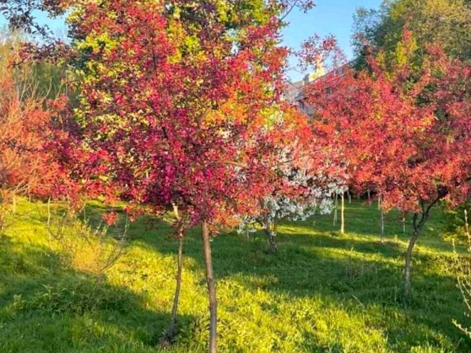 Квартира. Гарматна вул., Київ