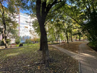 Apartment. New Hospitale Street, Kyiv