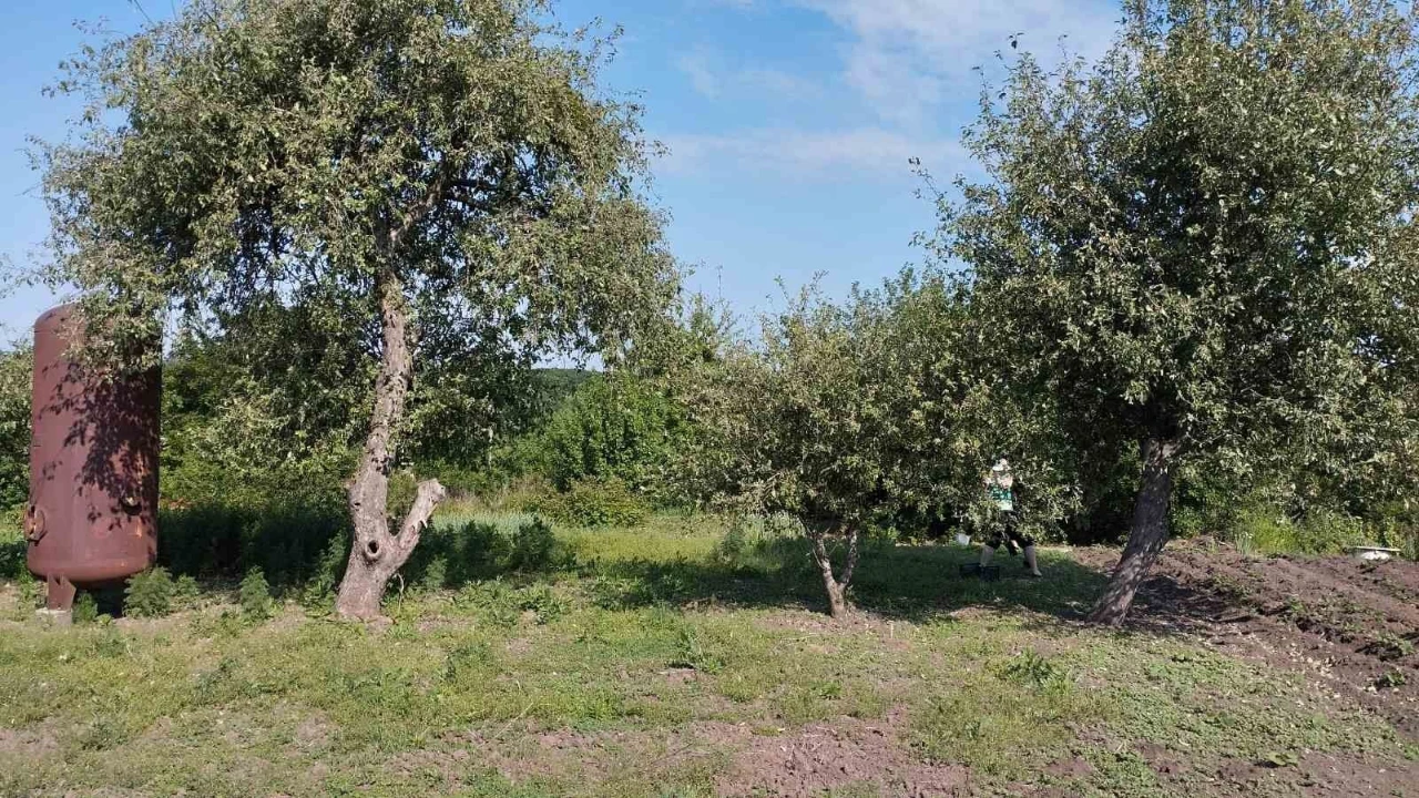 Продається дача "Садовий кооператив "Авіатор" СУМИ, район старої аеропорта