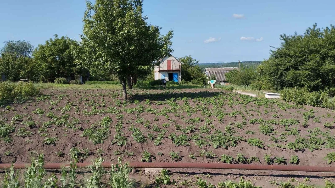 Продається дача "Садовий кооператив "Авіатор" СУМИ, район старої аеропорта
