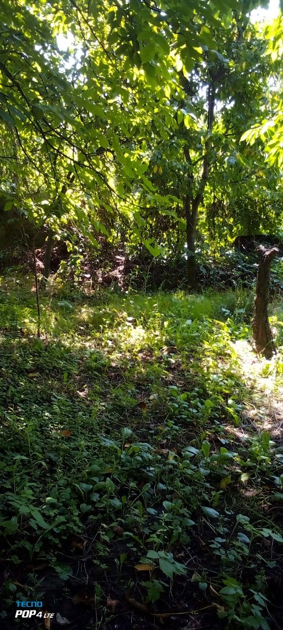 Продається земельная участка в городе, Черновцы.