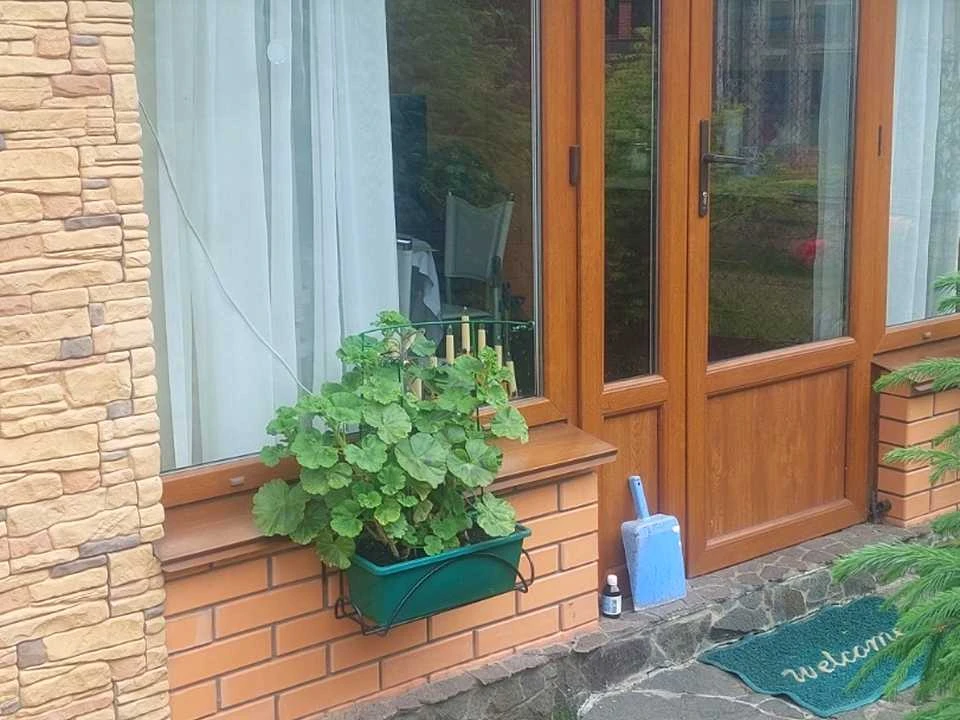 House. Line 2, вул.