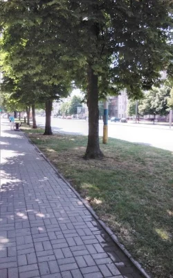 1 pc. on Sobornom Avenue