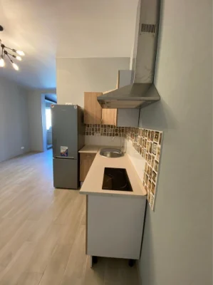 Bortnichy, Levadnaya Street, 56 - Cozy studio apartment for rent!