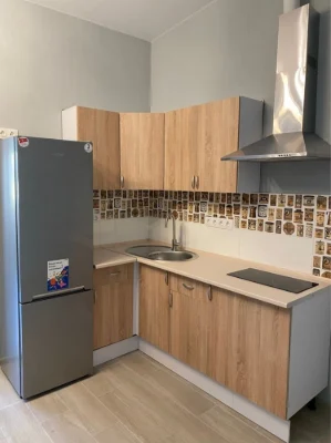Bortnichy, Levadnaya Street, 56 - Cozy studio apartment for rent!