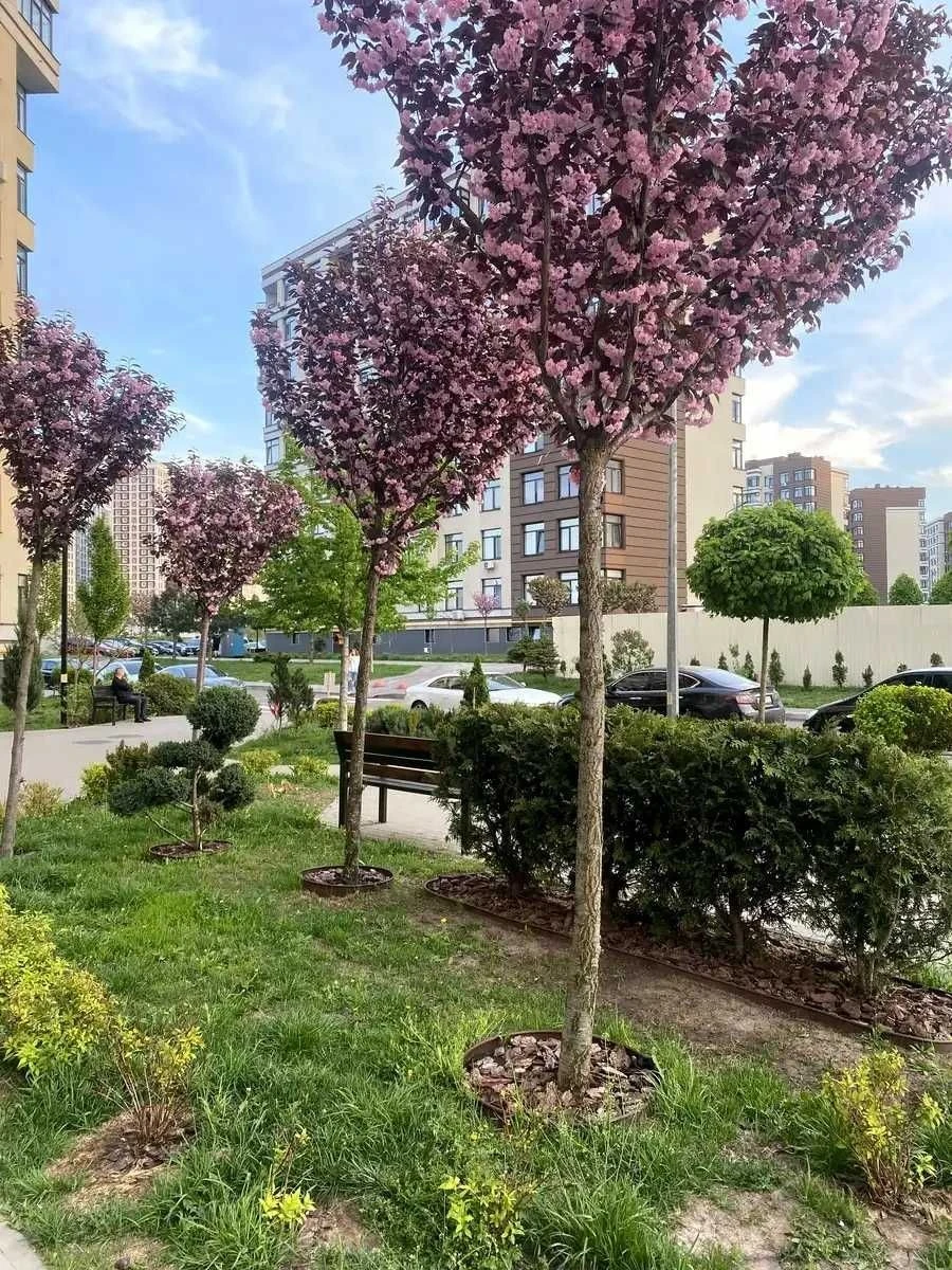 Rent: PARKLAND Residence, Promenista, Vasilk