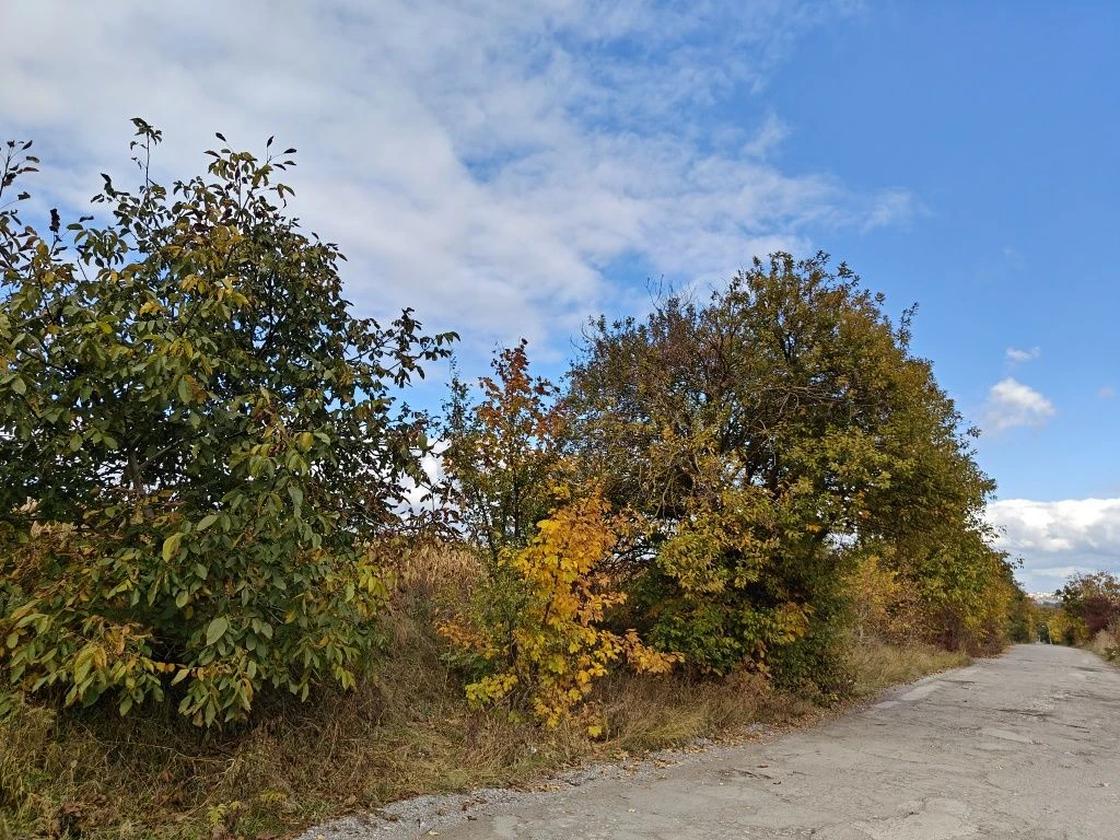 Продажа! Участок - 10 соток