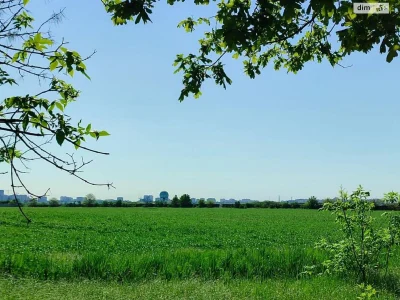Продаж земельної ділянки сільськогосподарського призначення в Таїрове