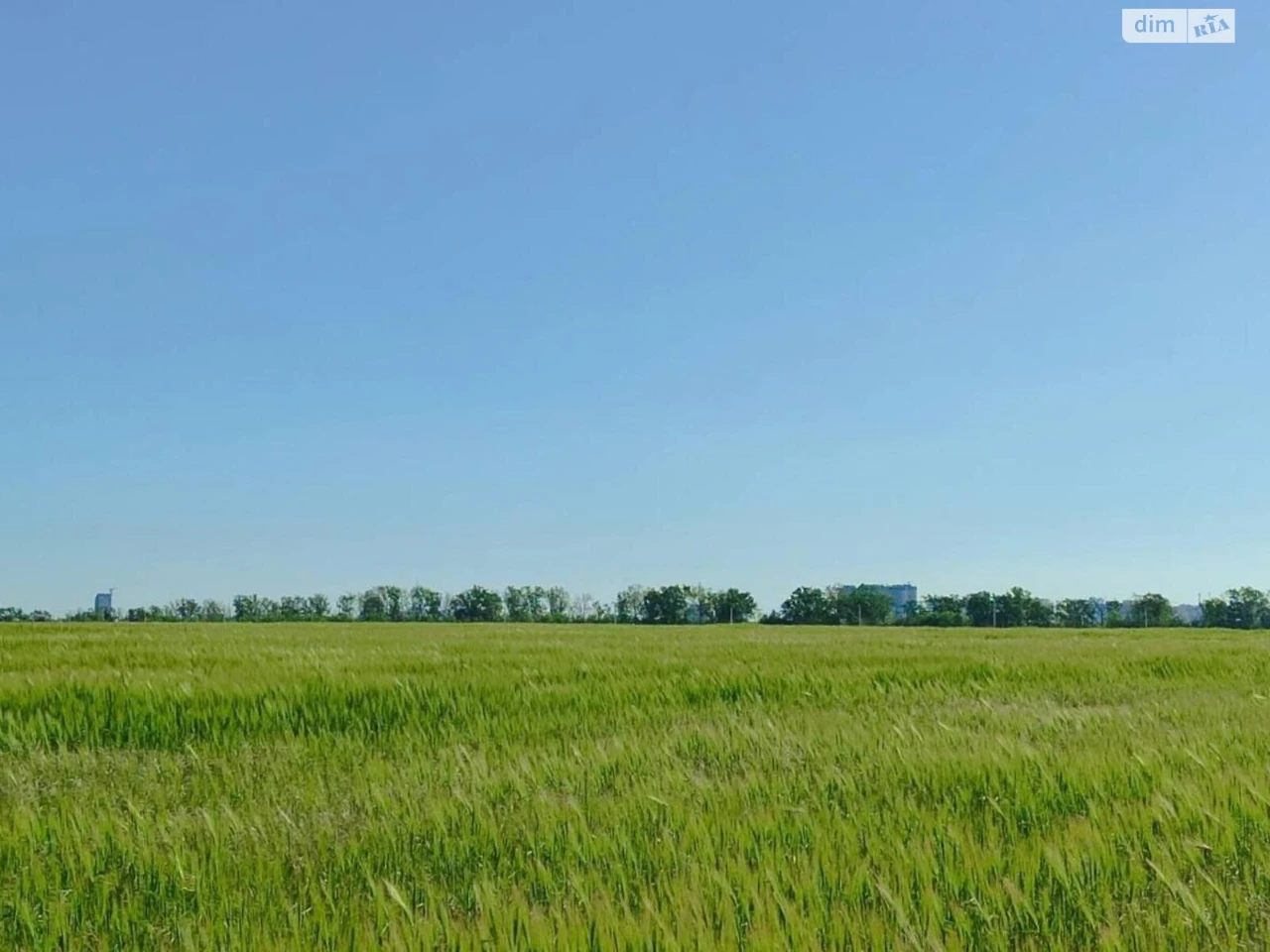Продаж земельної ділянки сільськогосподарського призначення в Таїрове