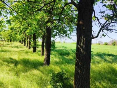 Продаж земельної ділянки сільськогосподарського призначення в Таїрове
