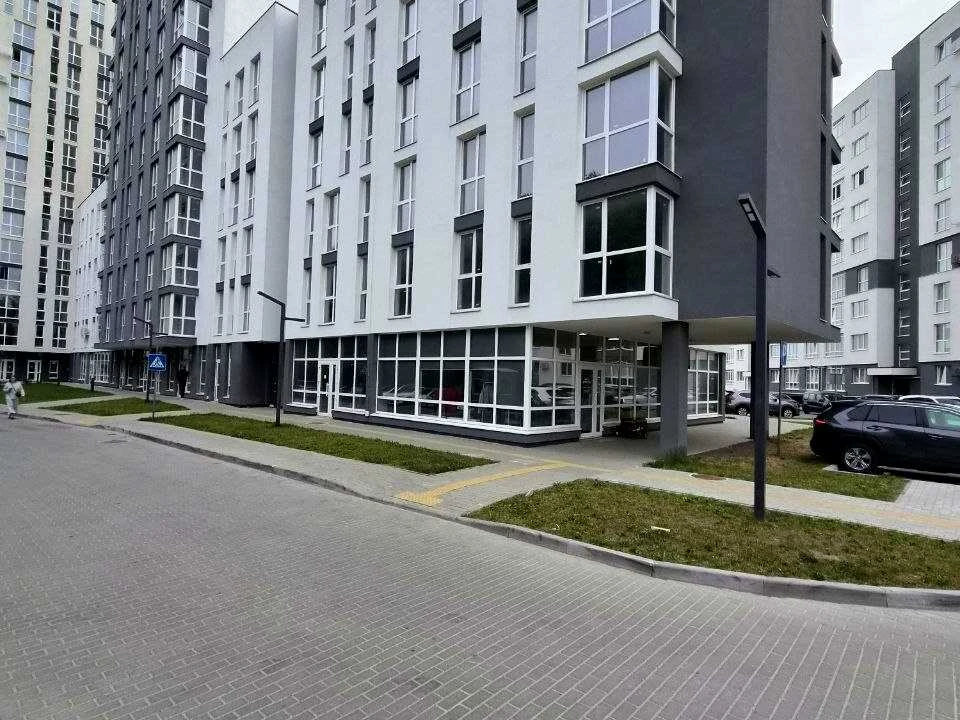 Квартира. Львів, вулиця Володимира Великого