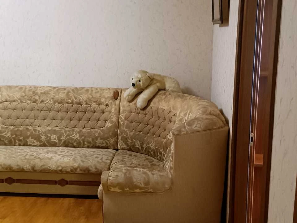 Apartment. Vyshnjakivska st., Kyiv