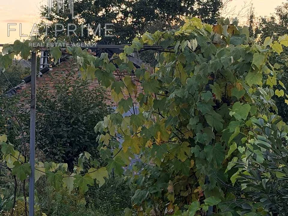 Ділянка. Київ, Садова вулиця