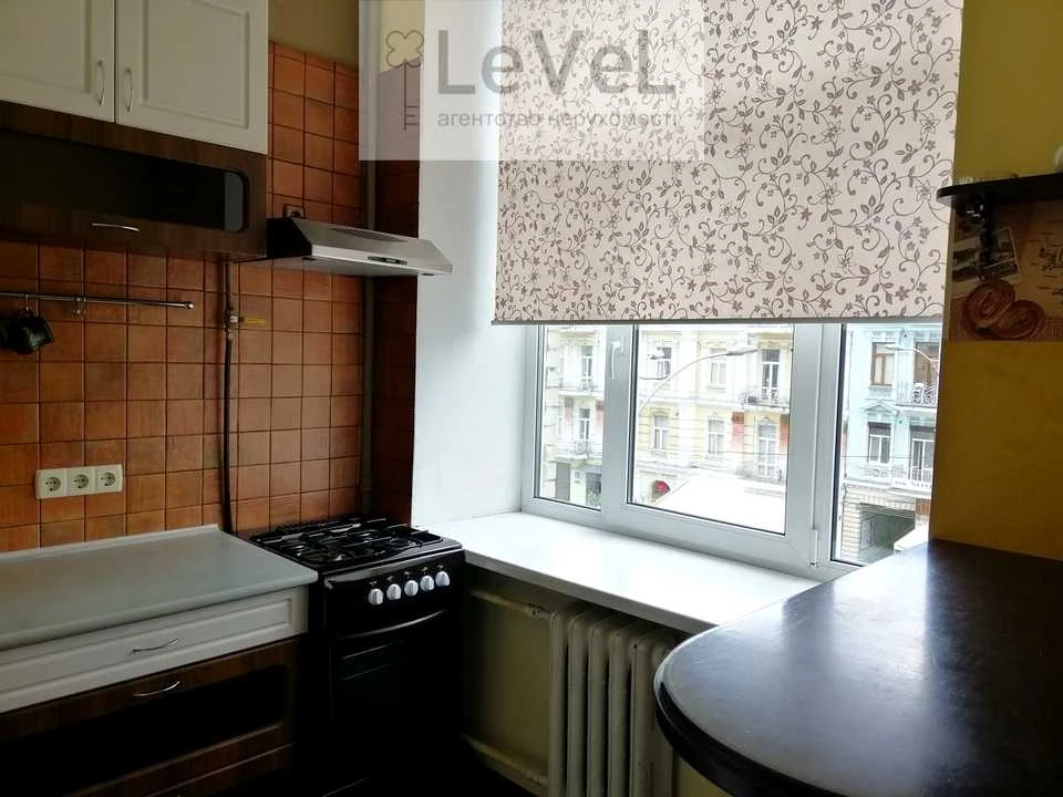 Apartment. Large Vasylkivska Street, Kyiv