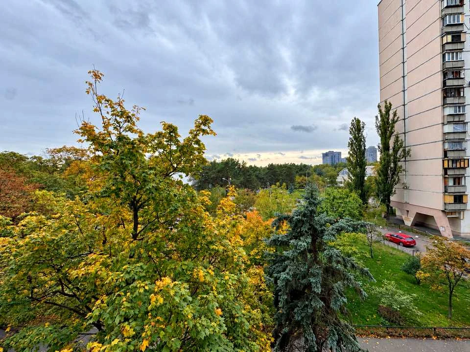 Apartment. Княzia Romana Mystsylavicha Street, Kyiv