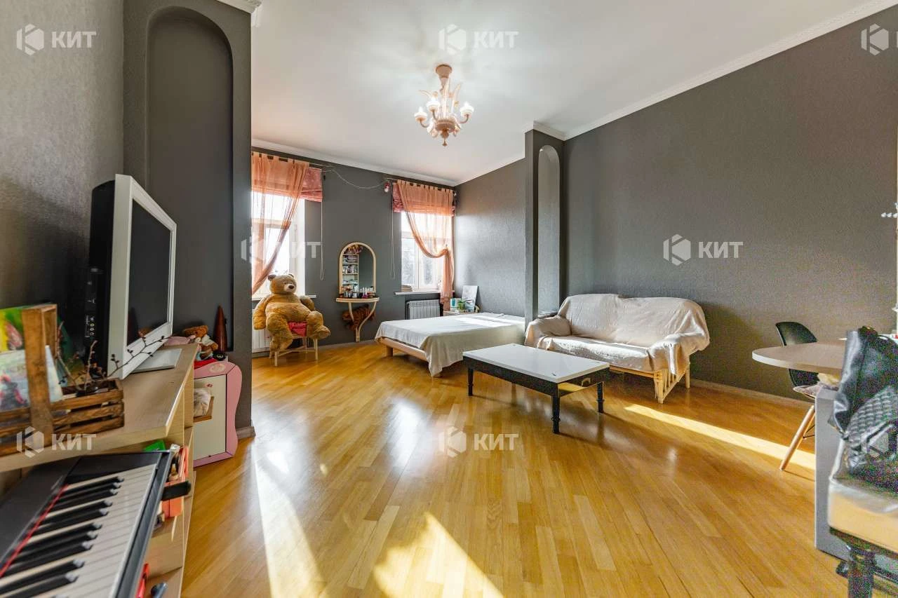 5к, 150 м2, Центр (метро Пушкинская, ул. Багалея 17) 103954