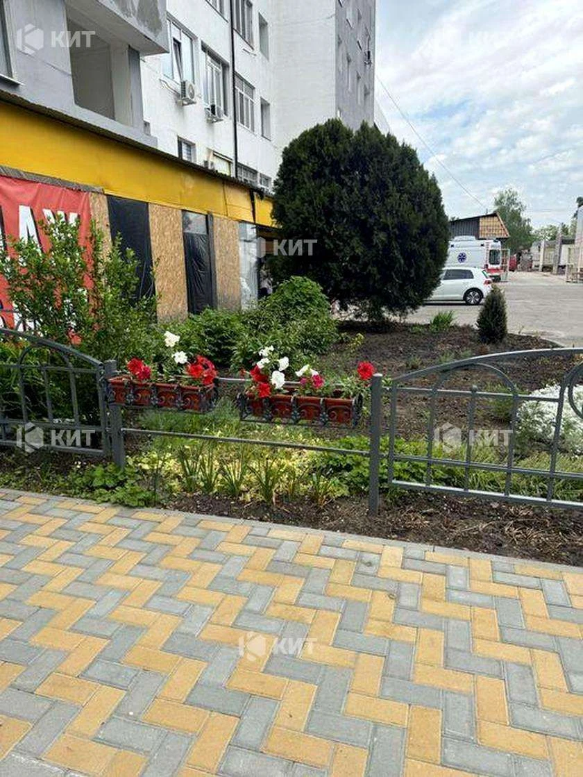 1к. 22м2 Спортивная, Гагарина, Защитников, ЖК Парковый Кварт