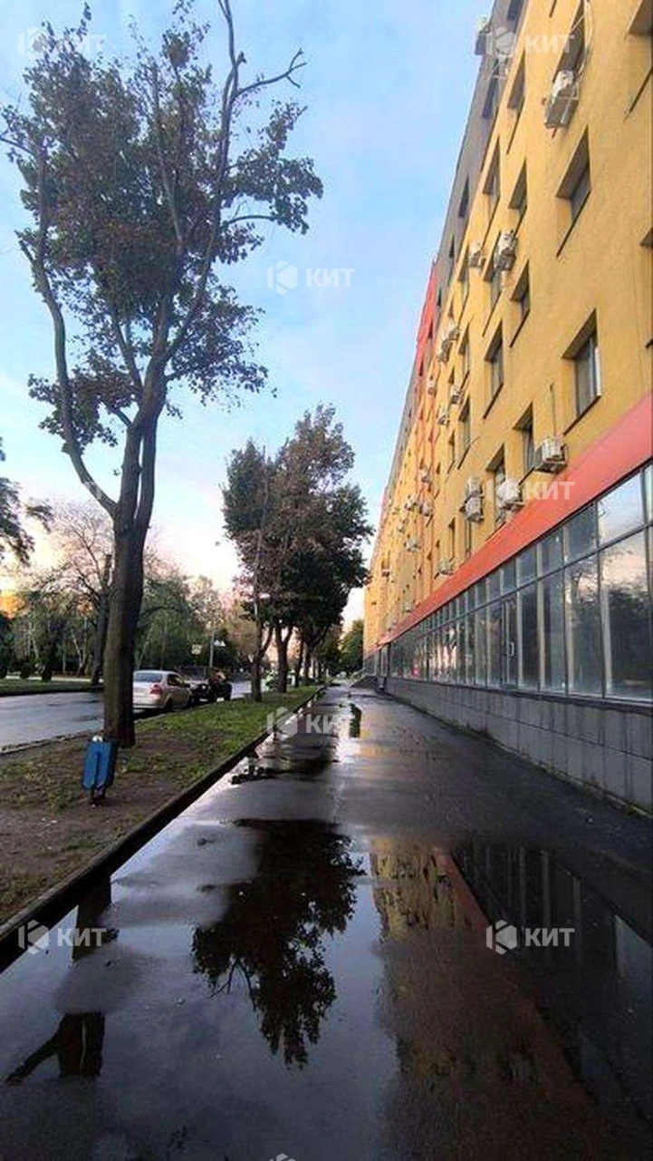 1к. 31м2 Спортивная, Гагарина, Защитников, ЖК Парковый Кварт