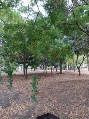 Selling a 2-bedroom apartment in Tairo, cheap