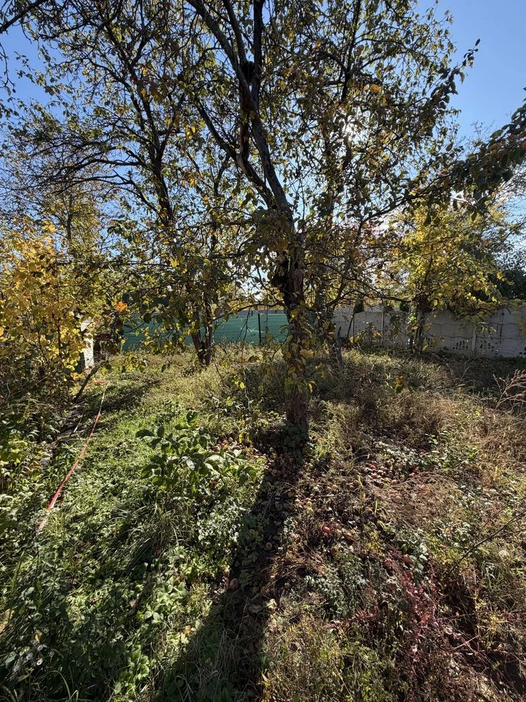 Продается прекрасная дачная земельная участк в живописном месте рядом с озером