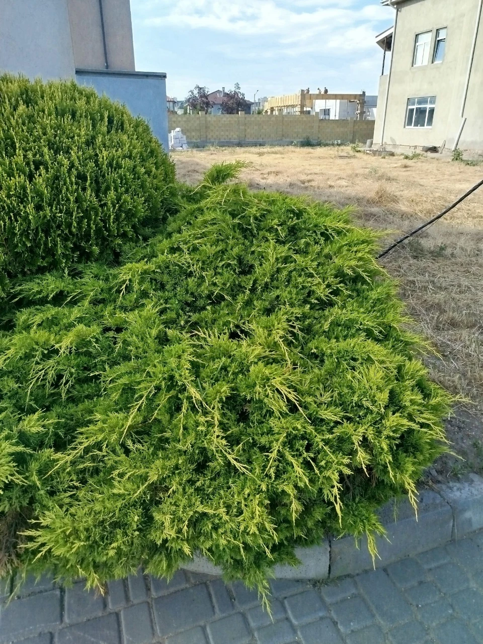 Продам участок  у моря Черноморская Ривьера