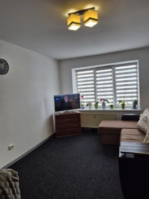 1-bedroom apartment on Pasichna Street