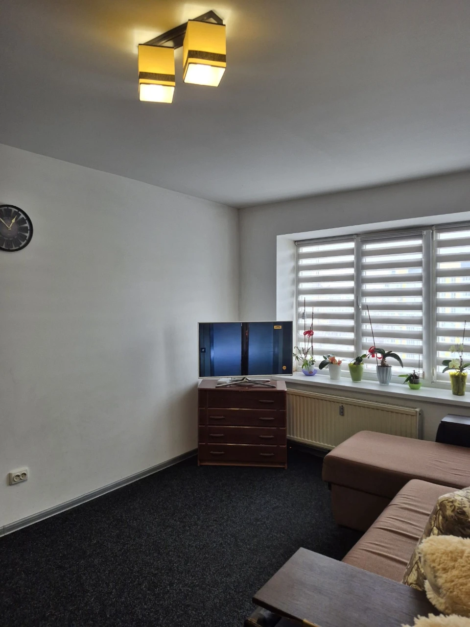 1-bedroom apartment on Pasichna Street