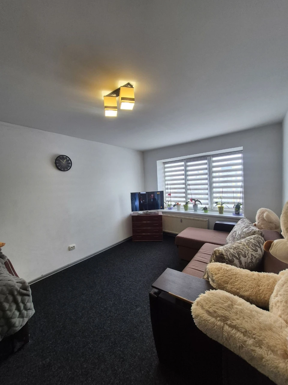 1-bedroom apartment on Pasichna Street