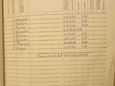 Будинок. Ужгород, Івана Пулюя пров. (Добролюбова)