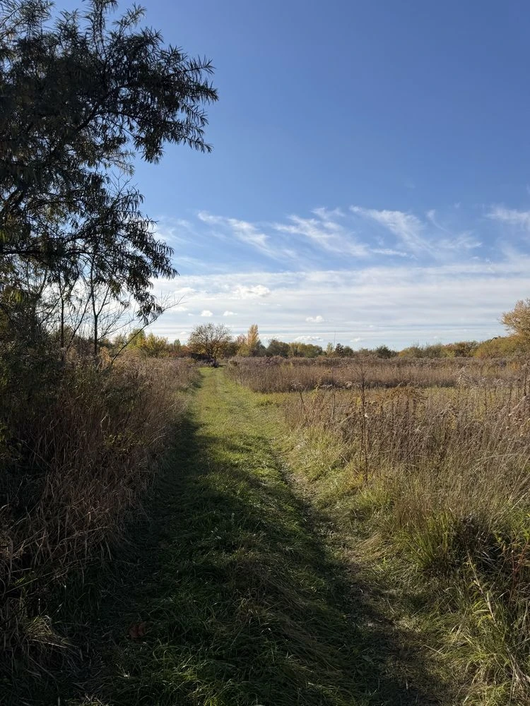 Продажа земельного участка в г. Житомир, район, ул. Коростенская (Ае