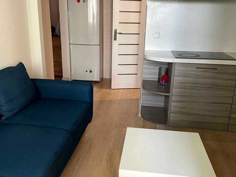 Apartment. Oleń Pčilky Street, Kyiv