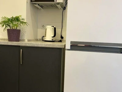 Rent 1-bedroom apartment 45 sq m, 11/13 floor