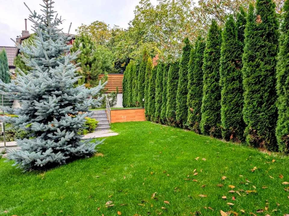 Дом. Киев, улица Вишшанская