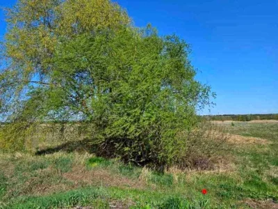 Участок. Полтава, Радіщева улица.