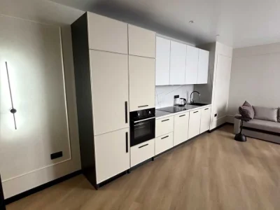 Apartment. Viktor Nekrasova st., Kyiv