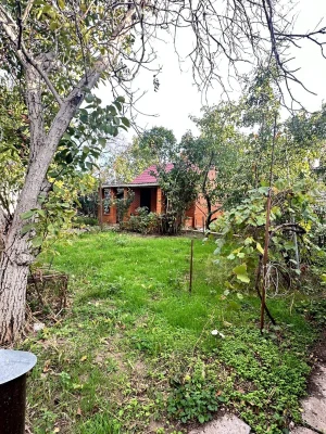Sale of House Old Vodopoy