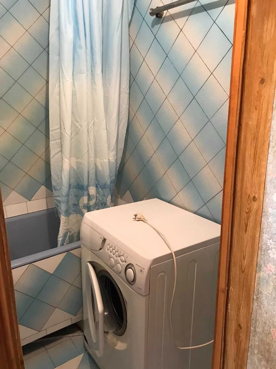 Apartment for rent, Red Kalina Street 77, Troyeshchyna